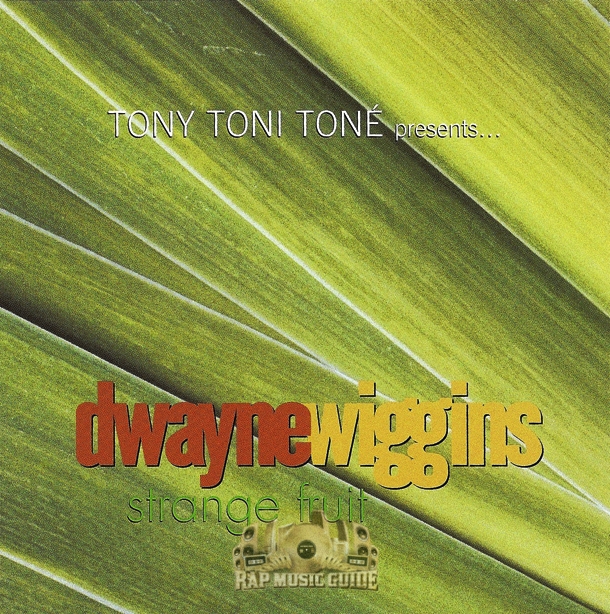 洋楽 Dwayne Wiggins Strange Fruit sddefault.jpg